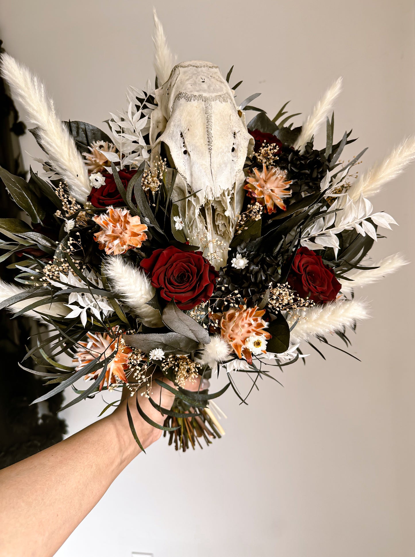 Crimson // Coyote Skull