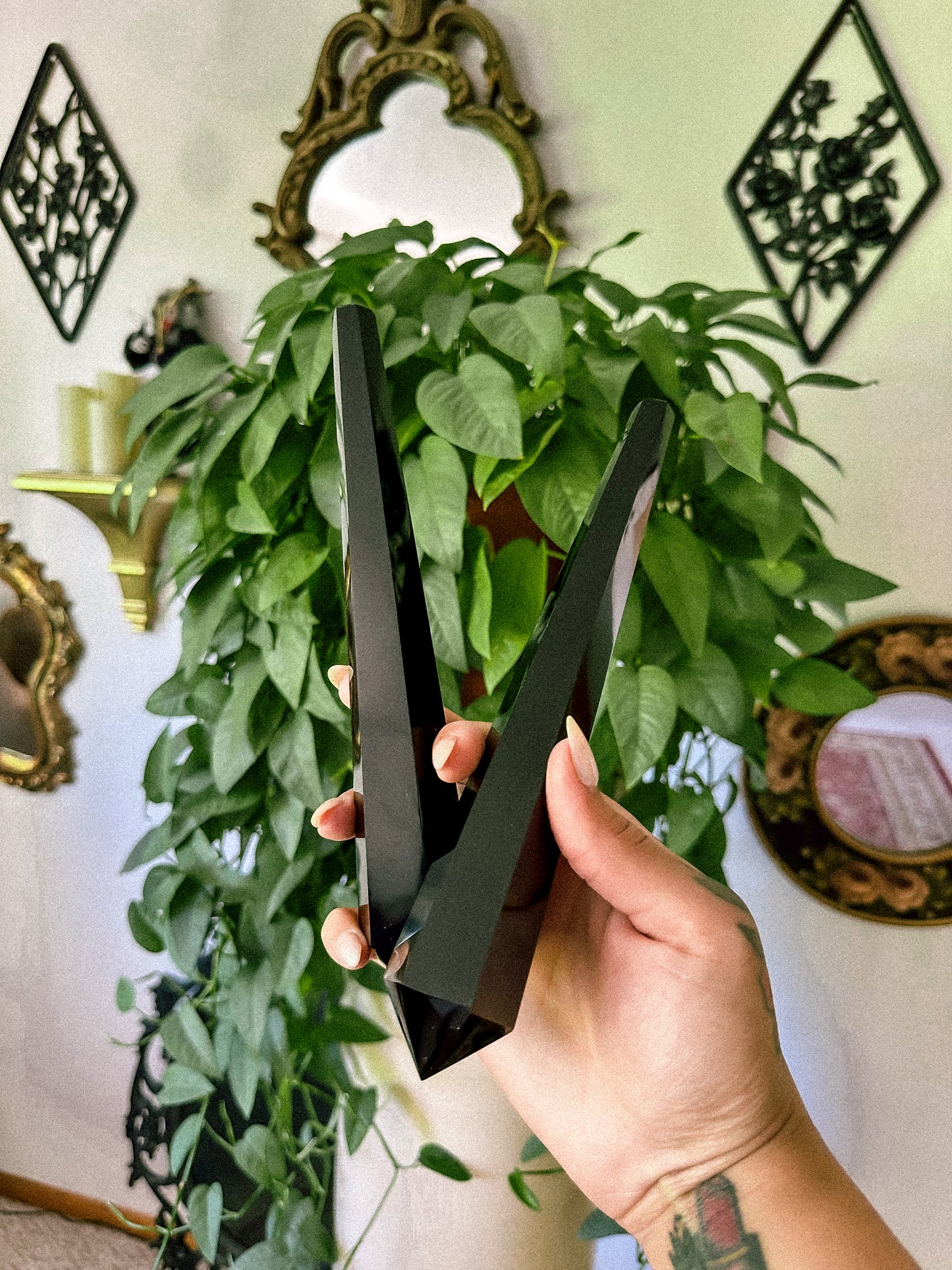 Black Obsidian Stems