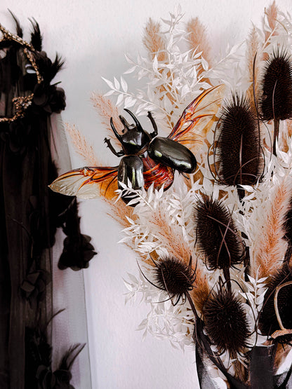 Atlas Beetle Bouquet