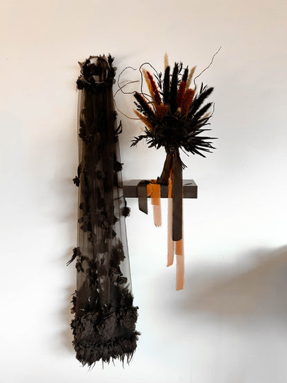 Blackened King Protea