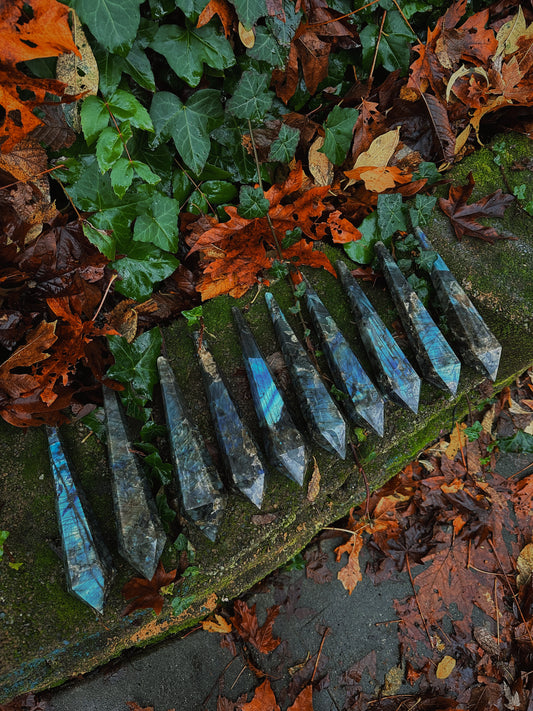 Labradorite Stems // PRE-ORDERS