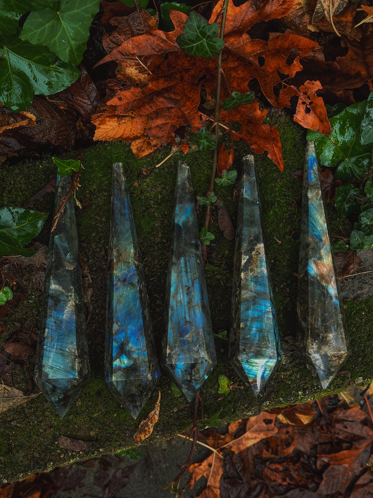 Labradorite Stems // PRE-ORDERS
